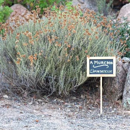 D'hotes Casa Di L'oru Bed & Breakfast