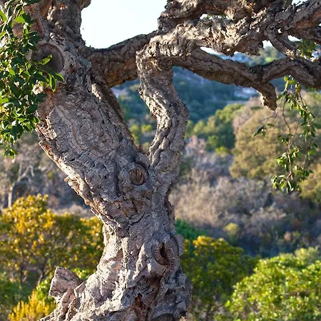 D'hotes Casa Di L'oru Bed & Breakfast Porto-Vecchio (Corsica)